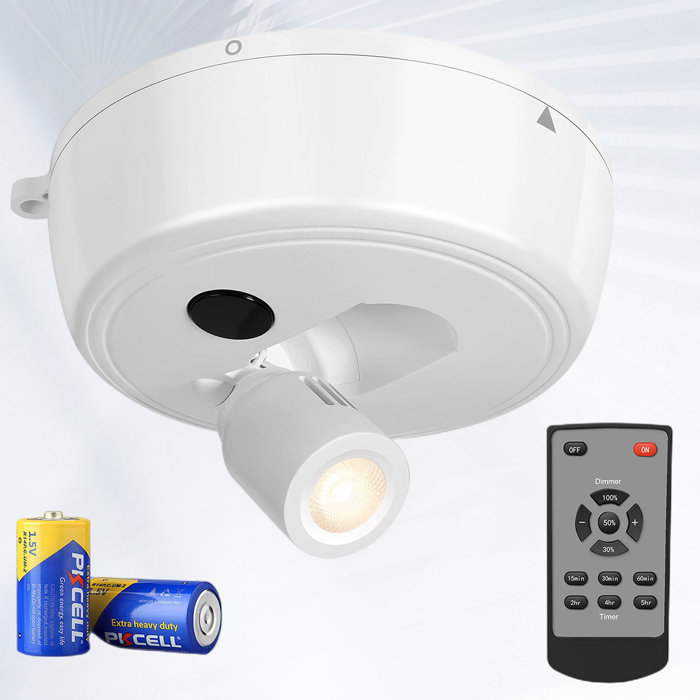 NashyCone 5.28'' Dimmable LED Wall Mounted Picture Light with Remote